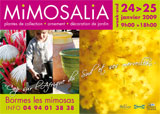 Affiche de Mimosalia 2009