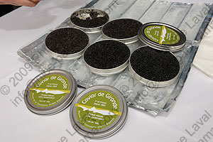 Journée des Grands Chefs 2009