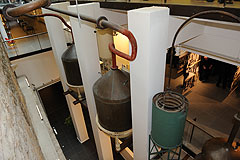 Ouverture du Musée International du Parfum (MIP) à Grasse en 2008 