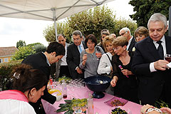 Ouverture du Musée International du Parfum (MIP) à Grasse en 2008 