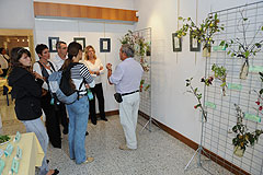 Association Botanique et Mycologique de la Siagne aux Etoiles de Mougins 2008