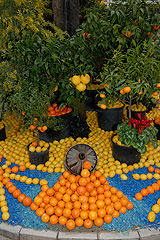 Fete du Citron de Menton 2008