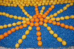 Fete du Citron de Menton 2008