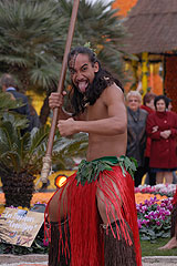 Fete du Citron de Menton 2008