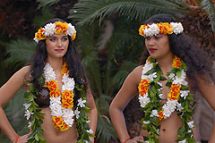 Fete du Citron de Menton 2008