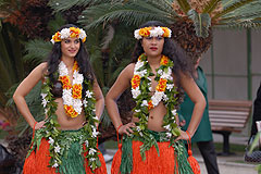 Fete du Citron de Menton 2008