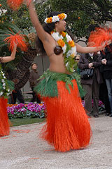 Fete du Citron de Menton 2008