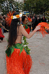 Fete du Citron de Menton 2008