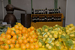 Fete du Citron de Menton 2008