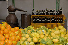 Fete du Citron de Menton 2008