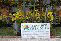 Fete du Citron de Menton 2008