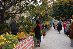 Fete du Citron de Menton 2008