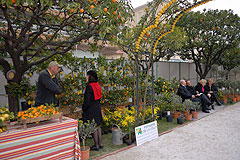 Fete du Citron de Menton 2008