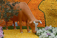 Fete du Citron de Menton 2008