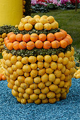 Fete du Citron de Menton 2008