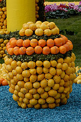 Fete du Citron de Menton 2008