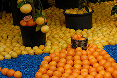 Fete du Citron de Menton 2008