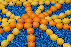 Fete du Citron de Menton 2008