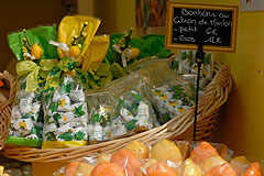 Fete du Citron de Menton 2008