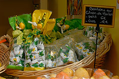 Fete du Citron de Menton 2008