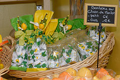 Fete du Citron de Menton 2008