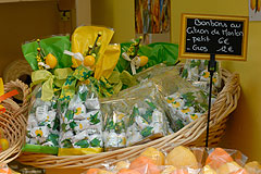 Fete du Citron de Menton 2008