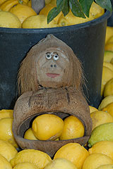 Fete du Citron de Menton 2008