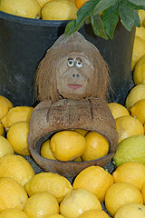 Fete du Citron de Menton 2008