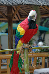 Fete du Citron de Menton 2008