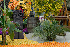 Fete du Citron de Menton 2008