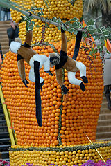 Fete du Citron de Menton 2008