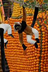 Fete du Citron de Menton 2008