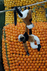 Fete du Citron de Menton 2008