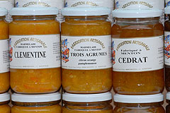 Fete du Citron de Menton 2008