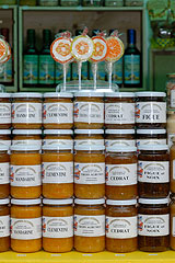 Fete du Citron de Menton 2008