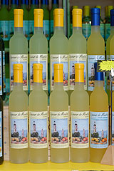 Fete du Citron de Menton 2008