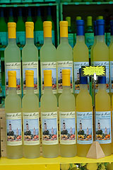 Fete du Citron de Menton 2008