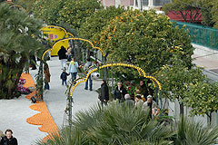 Fete du Citron de Menton 2008