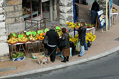 Fete du Citron de Menton 2008