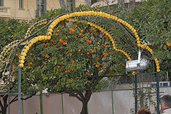 Fete du Citron de Menton 2008