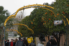 Fete du Citron de Menton 2008