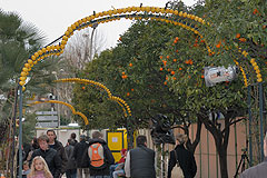 Fete du Citron de Menton 2008