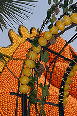 Fete du Citron de Menton 2008