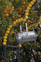 Fete du Citron de Menton 2008