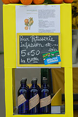 Fete du Citron de Menton 2008