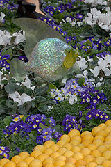 Fete du Citron de Menton 2008