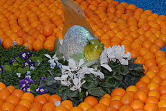 Fete du Citron de Menton 2008