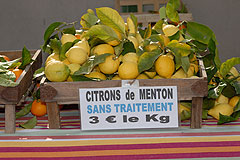 Fete du Citron de Menton 2008