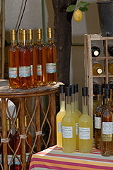 Fete du Citron de Menton 2008