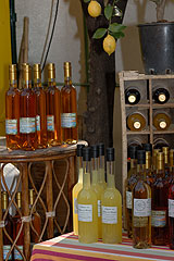 Fete du Citron de Menton 2008